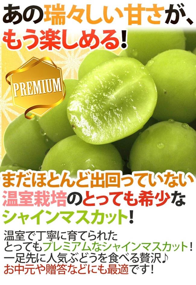 【天天果園】日本長野縣溫室麝香葡萄2串(每串約350-400g)