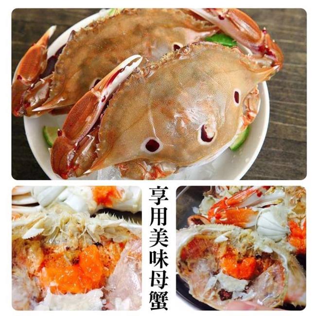 【海陸管家】活凍野生三點母蟹(每隻約175g) x20隻