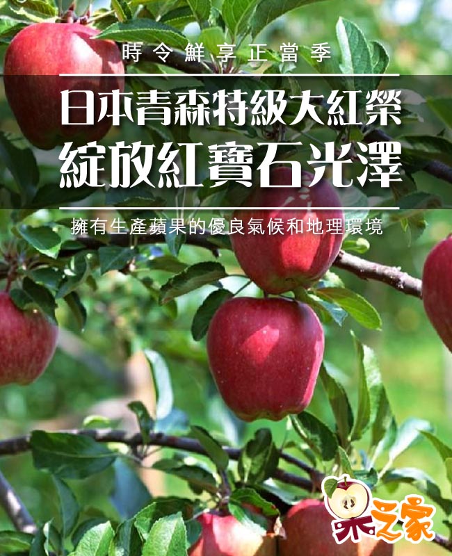 果之家 日本青森脆甜大紅榮蘋果XL特級22-26顆禮盒(約10kg，單顆為380-450g