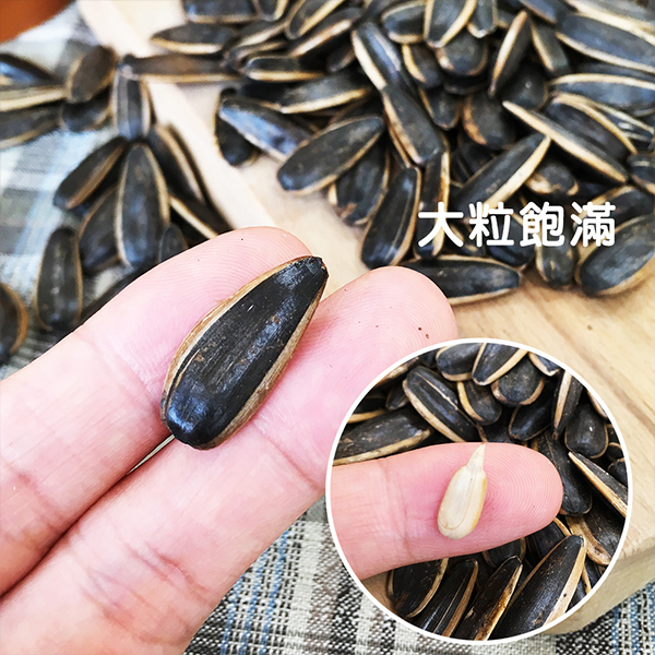 盛香珍 豐葵香瓜子禮桶(焦糖風味)750g