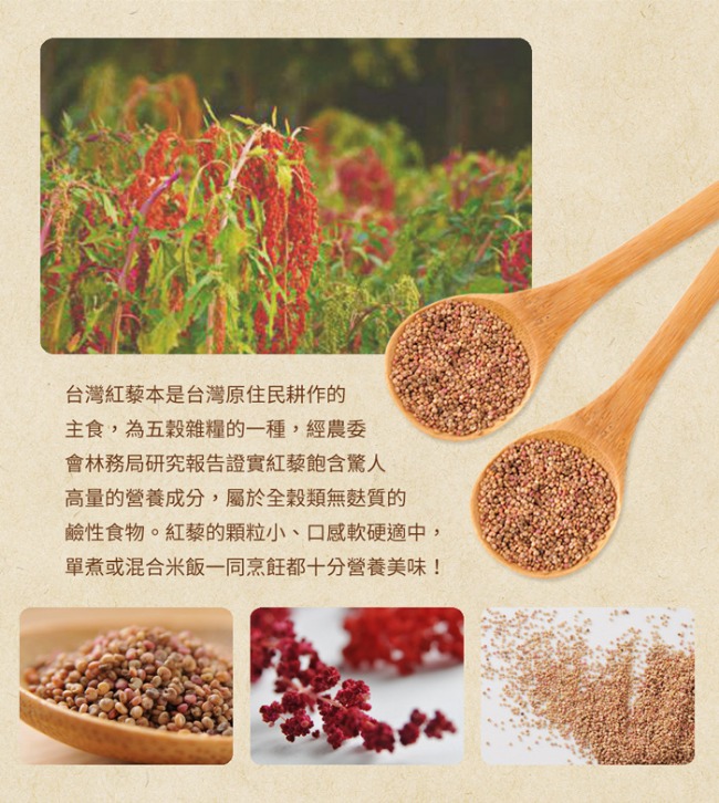 紅藜阿祖 紅藜松子綠豆軟糕(160g/包，共兩包)