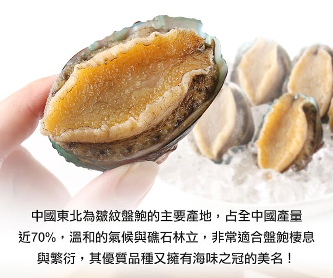 【愛上新鮮】東北帶殼鮮凍鮑魚10顆組(500g±10%/包)
