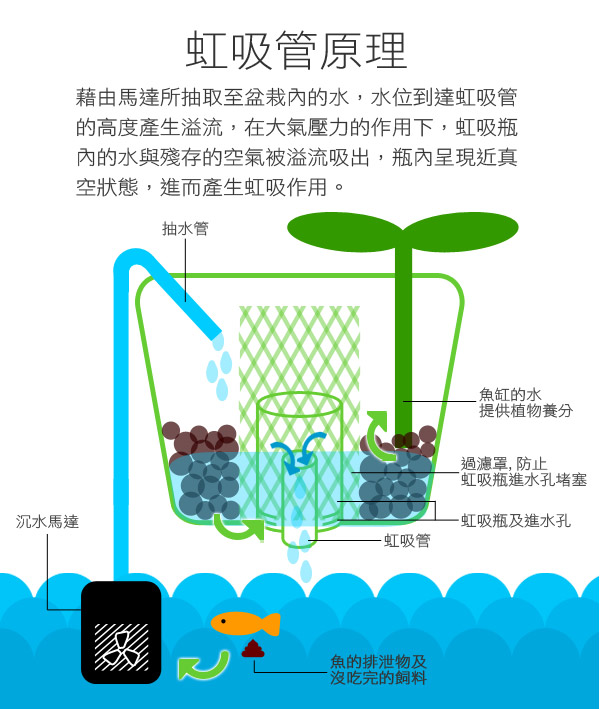 時時樂 ARKY 香草與魚Herb & Fish 經典款