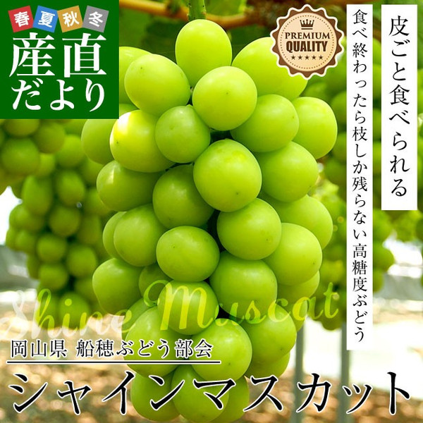 【天天果園】日本晴王麝香葡萄原裝5kg/箱(8串入)