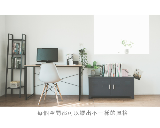 Home Feeling 鐵櫃/電視櫃/儲物/展示置物鐵櫃(2色)