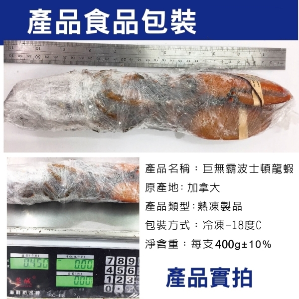 【海陸管家】加拿大波士頓螯龍蝦(每隻400g-500g) x1隻