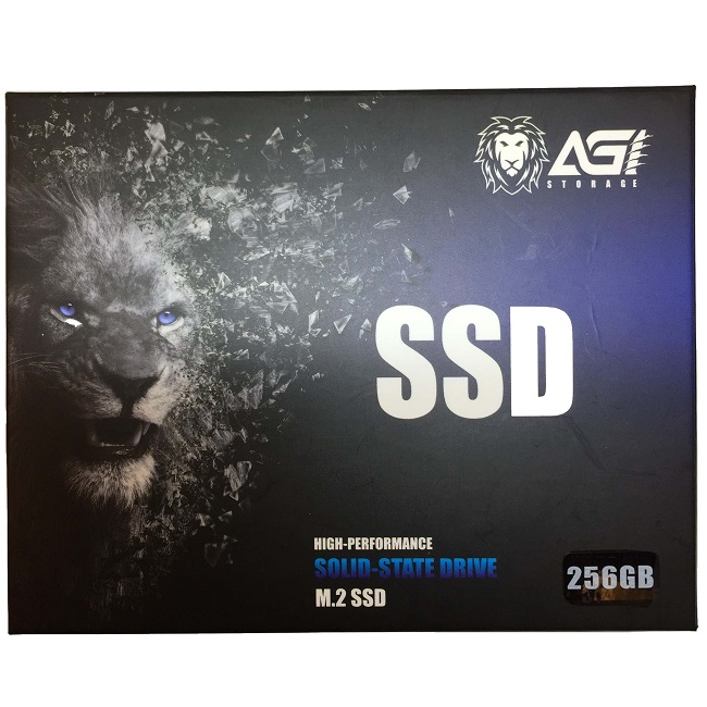 AGI 亞奇雷 256GB PCIe SSD 固態硬碟