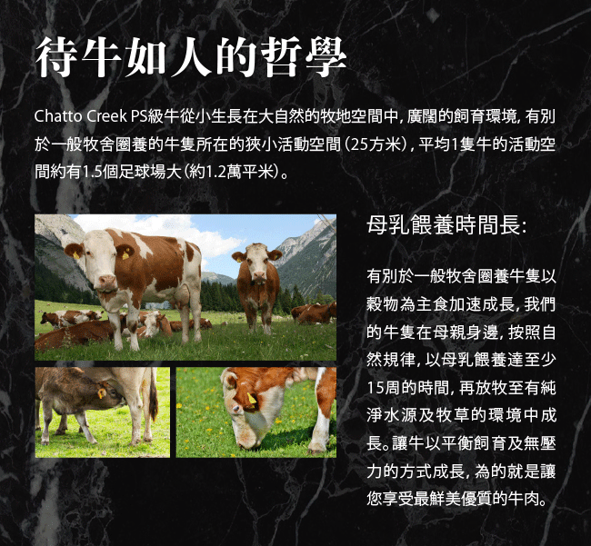【漢克嚴選】紐西蘭ps米其林星級熟成肋眼牛排150g-12片組(150g±10％/片)