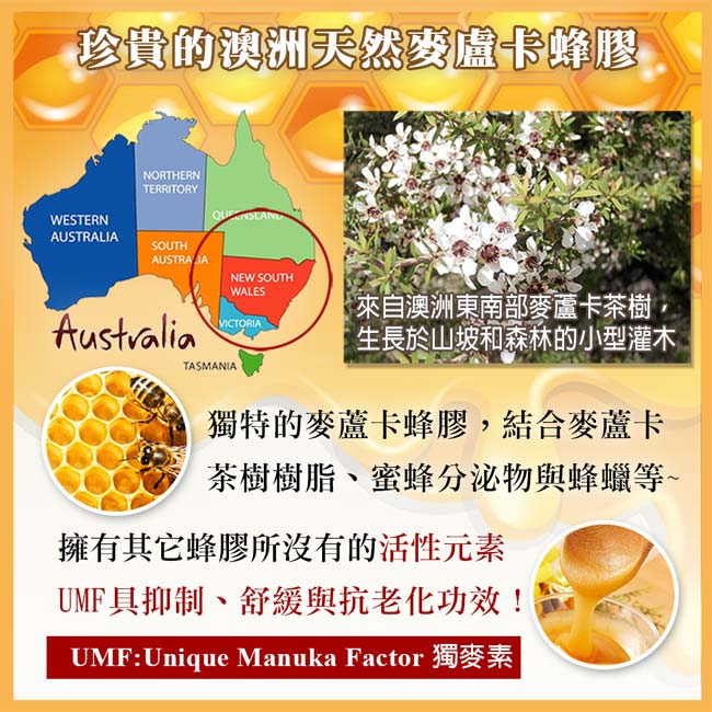 澳洲CEDEL蜂膠抗菌無糖含氟牙膏110g五入