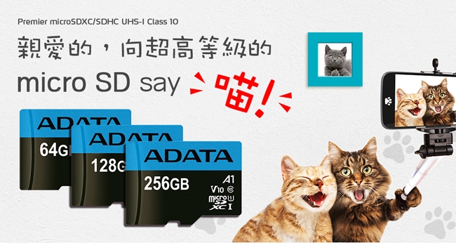 威剛 Premier microSDHC UHS-I (A1) 32G記憶卡(附轉卡)