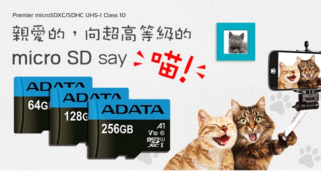威剛 Premier microSDXC UHS-I (A1) 128G記憶卡(附轉卡)