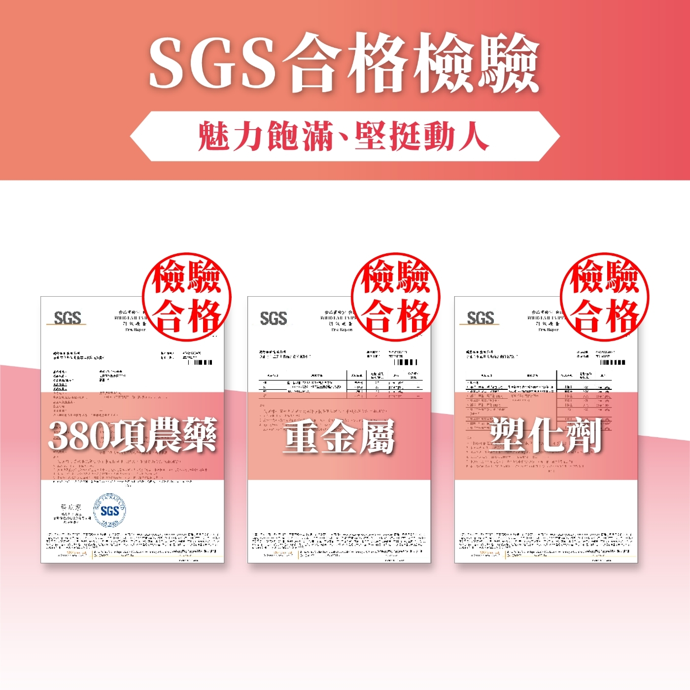 SGSSGS合格檢驗魅力飽滿、堅挺動人 檢驗合格     SGS檢驗合格 SGS  檢驗合格   380項農藥重金屬SGS     塑化劑