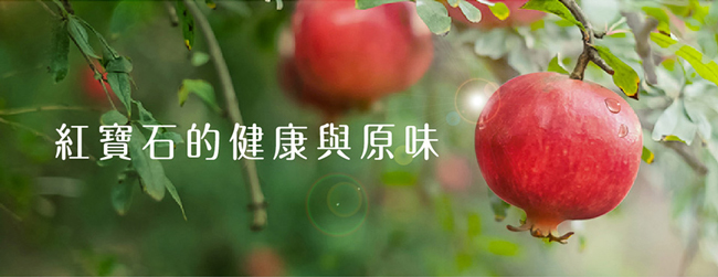 正官庄 高麗蔘野櫻莓飲10入+高麗蔘紅石榴飲10入