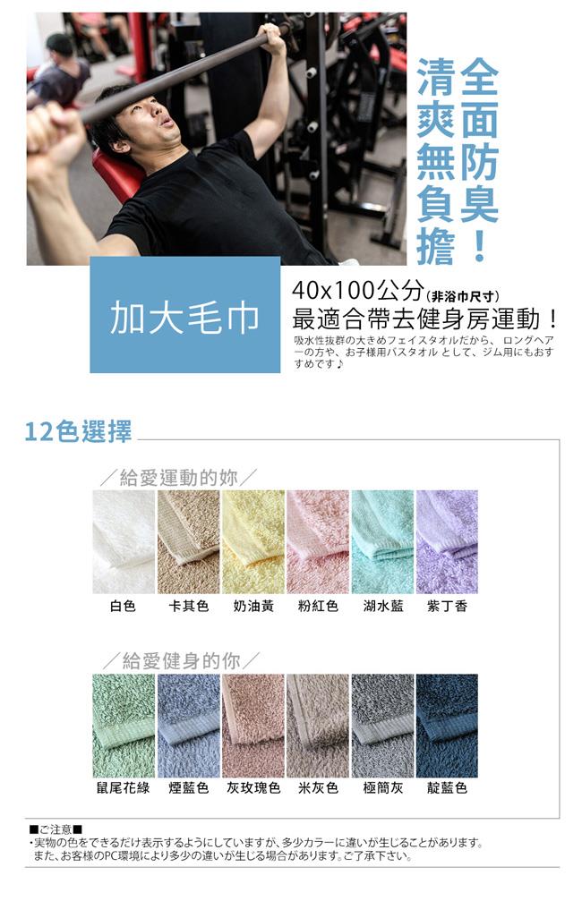 日本桃雪 SEK抗菌防臭運動大毛巾超值兩件組(煙藍色)