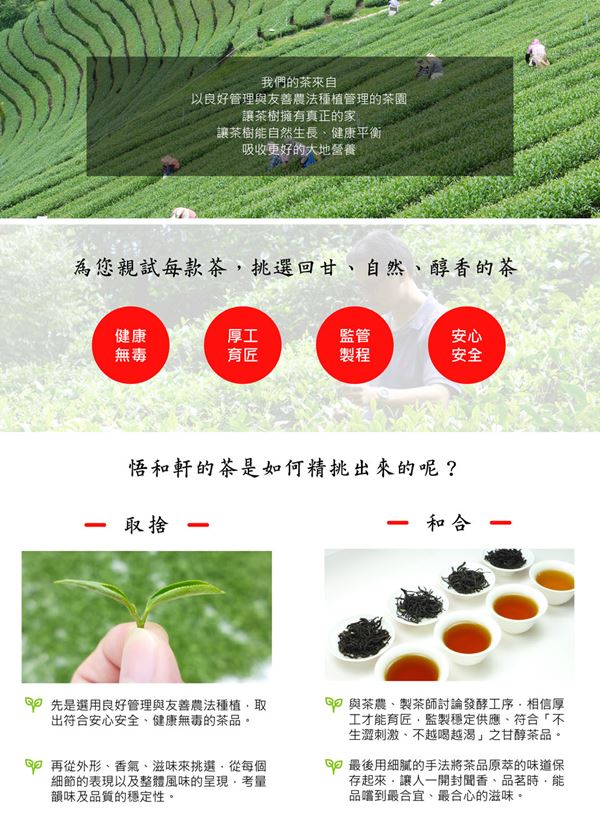 悟和軒 靜穆-養生佳葉龍茶(150g/罐)