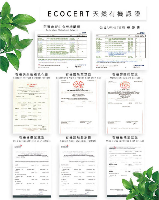 Arenes櫻花香氛植萃洗沐護三件組