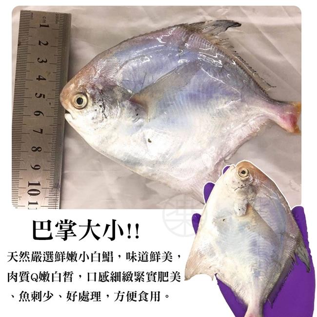 【海陸管家】嚴選野生天然鮮嫩小白鯧(每包3尾/共約270g) x8包