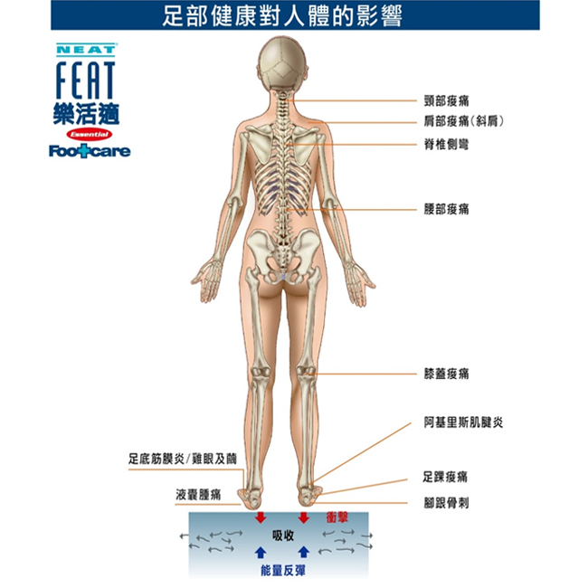 Neat Feat樂活適 全掌運動型緩衝鞋墊(尺寸:S)