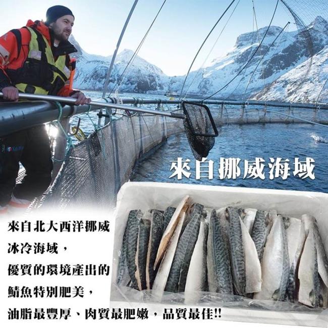 【海陸管家】特選挪威薄鹽生鯖魚(每箱約2kg/10-12片) x1箱