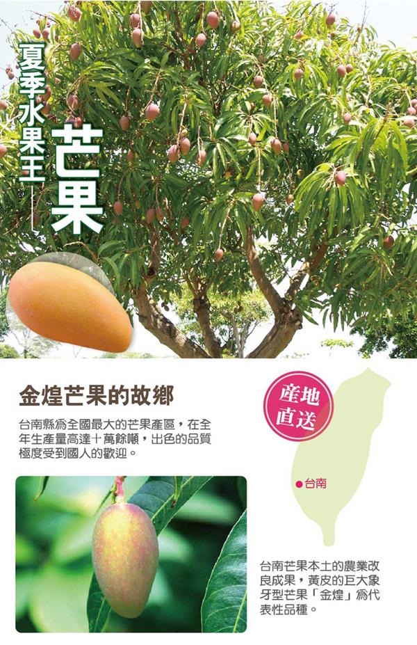 沁甜果園SSN 台南金煌芒果(6-8顆裝，10台斤/箱)