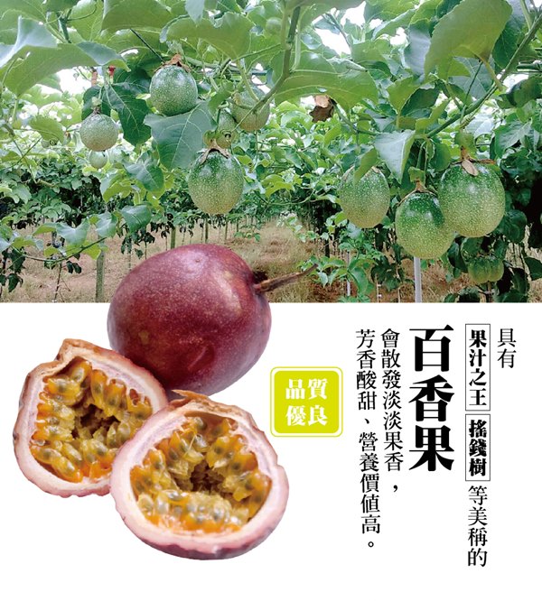 沁甜果園SSN 高雄型農傳統百香果3台斤/盒,(共2盒)
