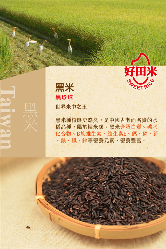 好田米 黑米(600g/包，共兩包)