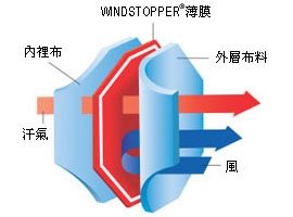 Craft 男 Windstopper 立領長袖排汗衣_黑