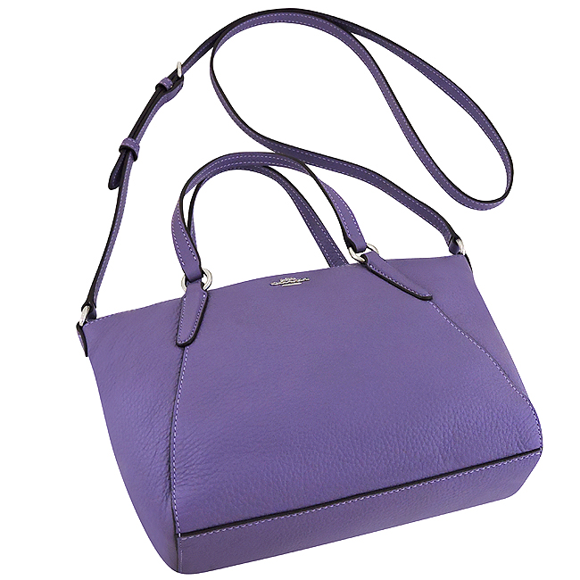 COACH 紫色皮革小型手提/斜背兩用包