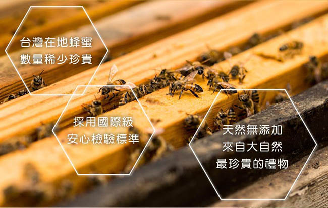 蜜蜂工坊 天然蜜醋禮盒(天然蜂蜜700g+蜂蜜蘋果醋)(500ml)