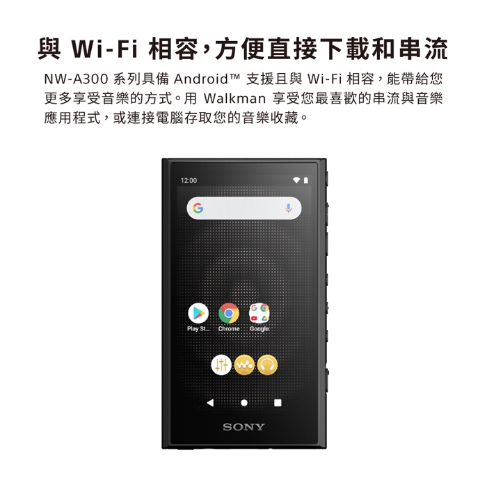 Sony 公司貨保固12+6] NW-A306 Walkman 數位音樂播放器| SONY | Yahoo