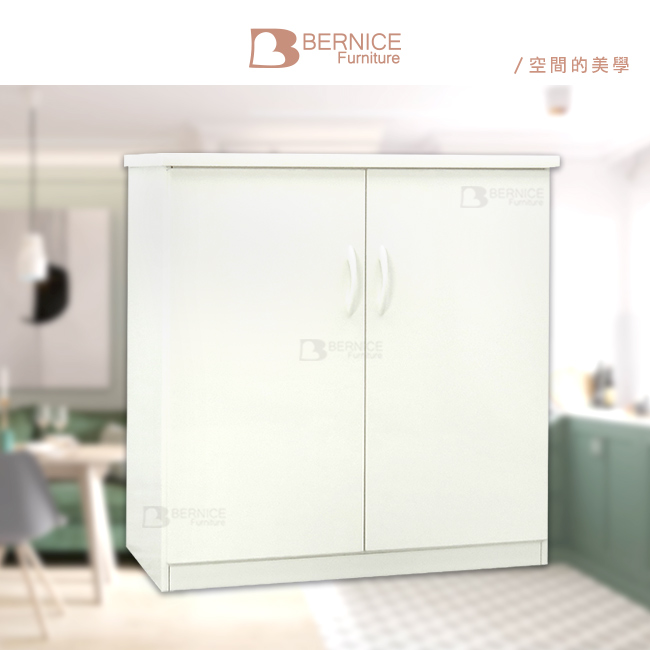 Bernice-2.8尺二門防水塑鋼收納櫃/置物櫃(四色可選)-84x43x81cm