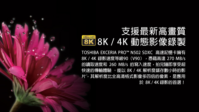 TOSHIBA EXCERIA PRO 256GB UHS-II U3 V90 SDXC卡