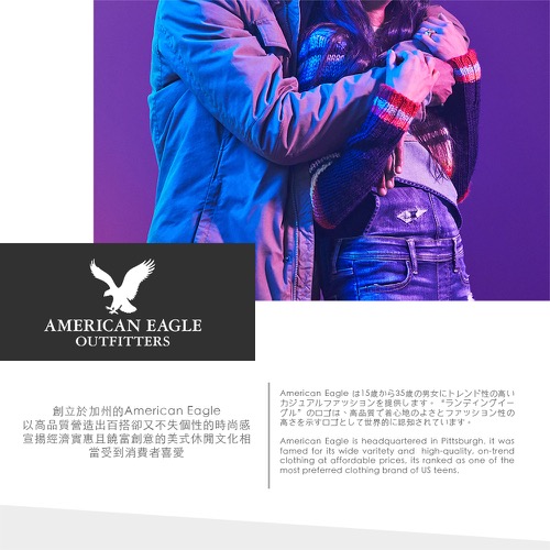 AEO 美國老鷹 經典標誌印刷短袖T恤-灰色 American Eagle