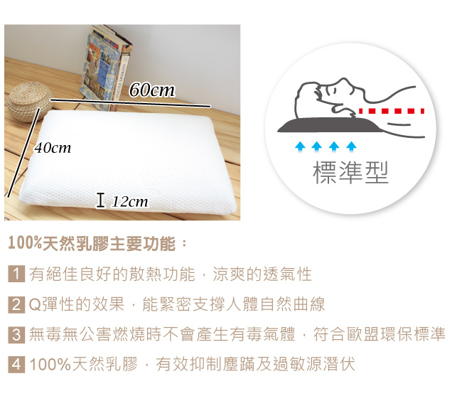 鴻宇 特級標準型天然乳膠枕2入