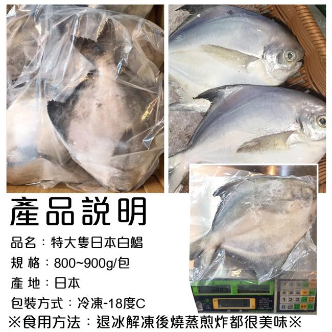 【海陸管家】日本特大2XL白鯧魚(每隻約800g) x1隻