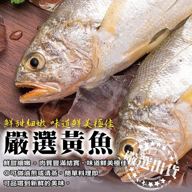 【海陸管家】巨無霸野生深海黃魚 2尾(每尾約600-700g)