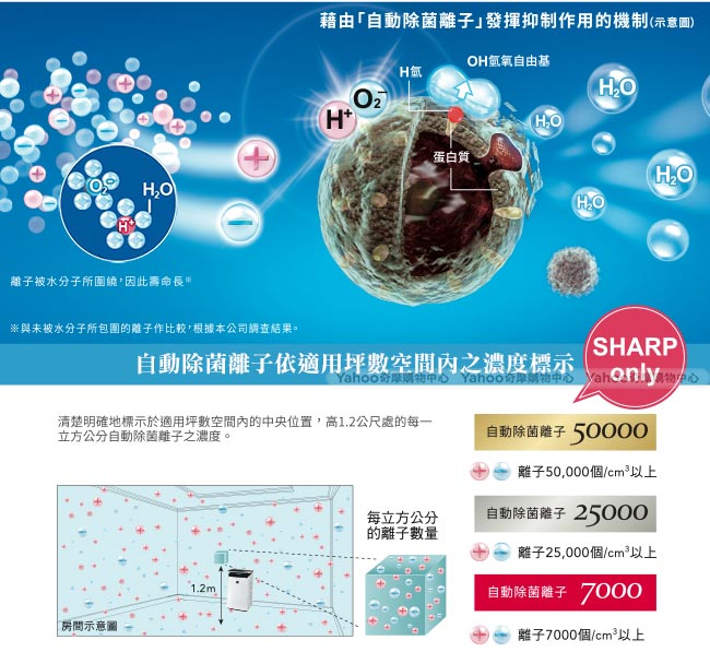 SHARP夏普 10L 1級自動除菌離子空氣清淨除濕機 DW-J10FT-W