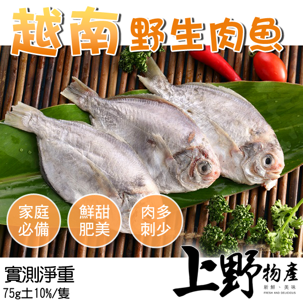 【上野物產】越南野生肉魚 (75g土10%/隻) x20隻