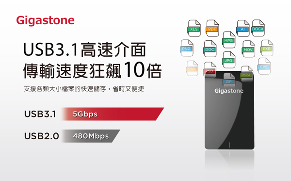 Gigastone 1TB USB3.1 2.5吋外接式行動硬碟(HDD6100)