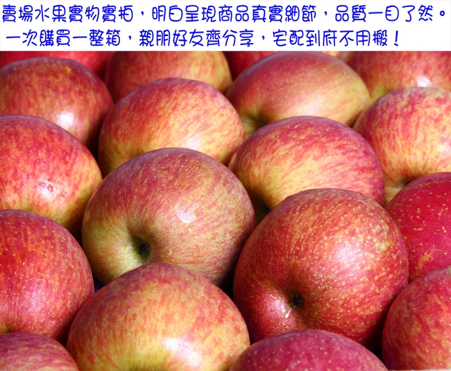 愛蜜果 智利富士蘋果32顆禮盒(約10公斤/盒)