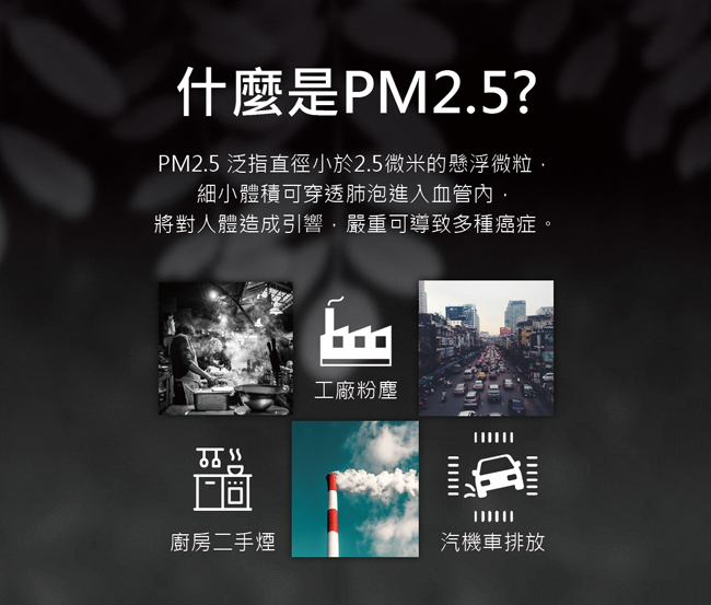 【中衛】PM2.5 防霾口罩1盒入(12入/盒)