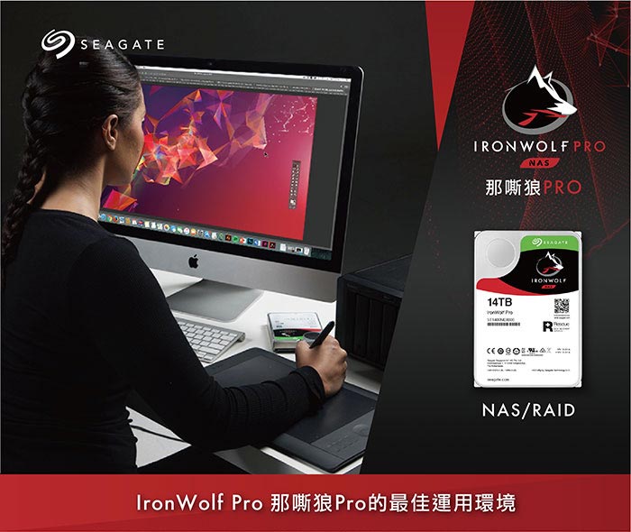 Seagate 那嘶狼【IronWolf Pro】14TB 3.5吋NAS硬碟