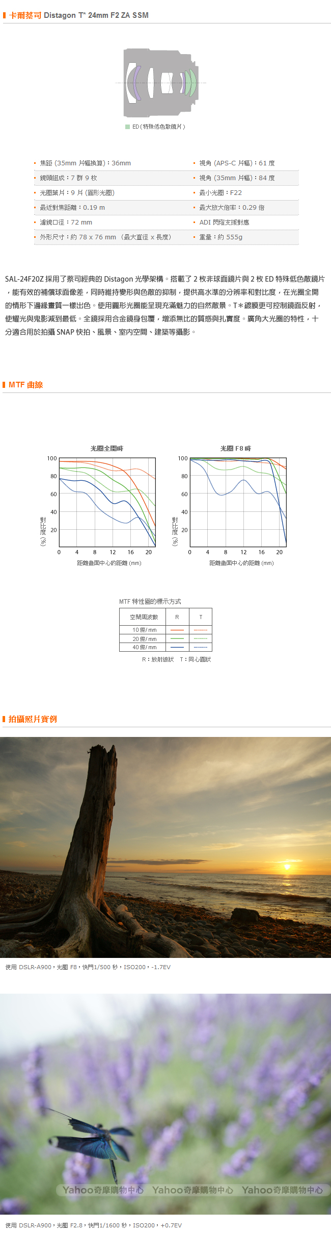 SONY Distagon T* 24mm F2 ZA SSM SAL24F20Z 公司貨