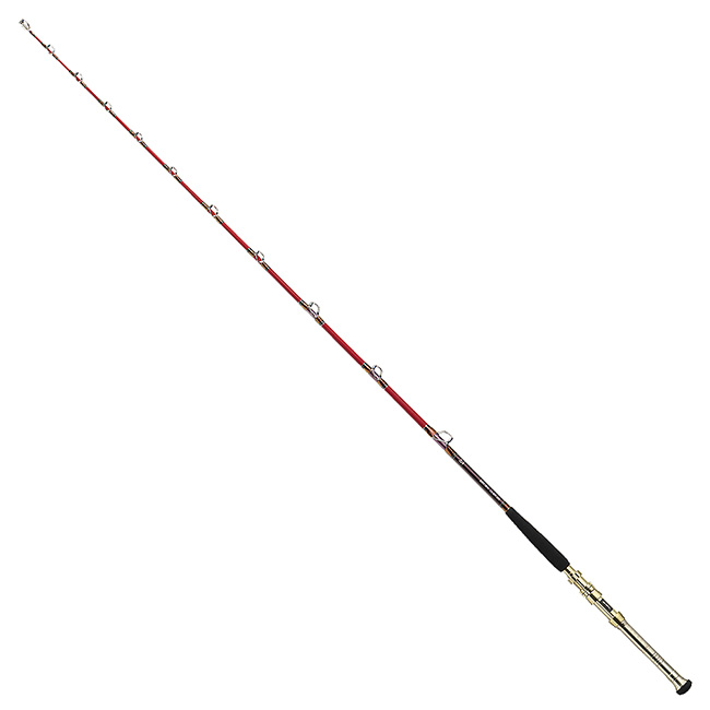 Daiwa 日本大和精工 船竿 DEEP ZONE GS 300-205