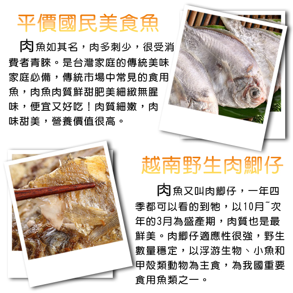 【上野物產】越南野生肉魚 (75g土10%/隻) x50隻