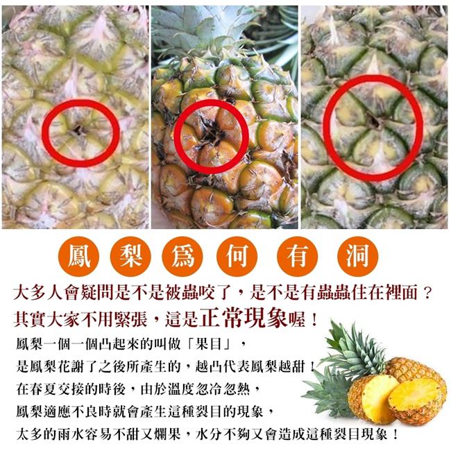 【天天果園】屏東特選XL金鑽鳳梨(每支約1200g) x2支