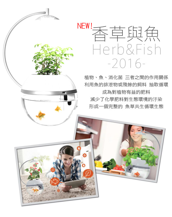 時時樂 ARKY 香草與魚Herb & Fish 經典款