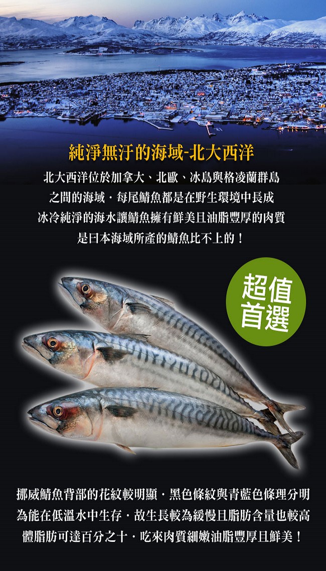 【愛上新鮮】頂級挪威薄鹽鯖魚16片組(140g±10%/片)