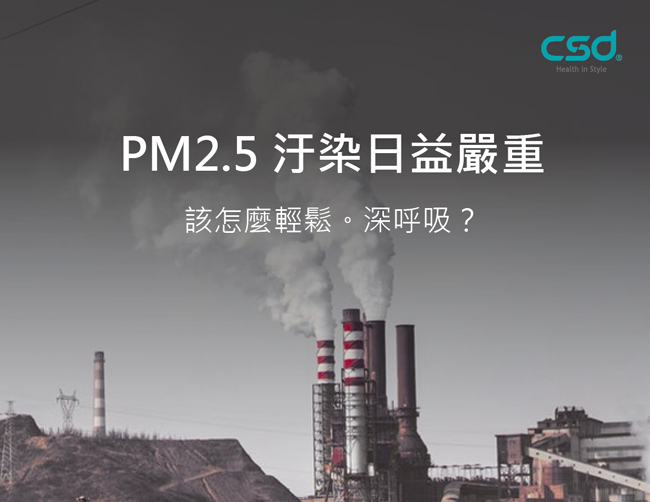 【中衛】PM2.5 防霾口罩1盒入(12入/盒)