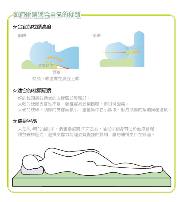 EVERSOFT 美國 杜邦™ ComforMax™ 經典型 記憶枕